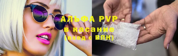 скорость Новозыбков