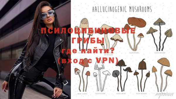 герыч Вязники