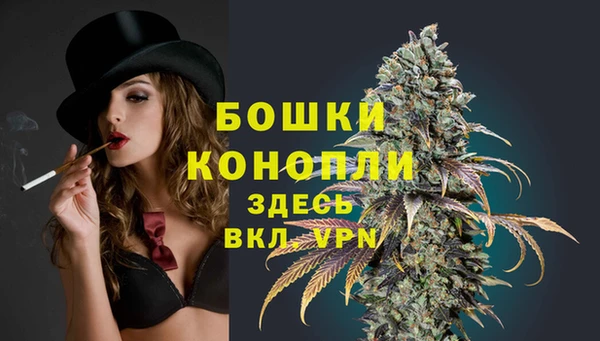 ПСИЛОЦИБИНОВЫЕ ГРИБЫ Новодвинск