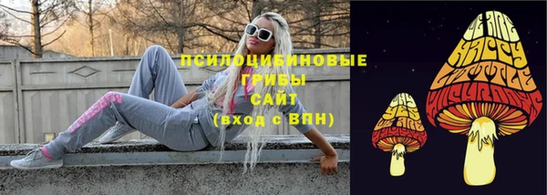 ПСИЛОЦИБИНОВЫЕ ГРИБЫ Новодвинск