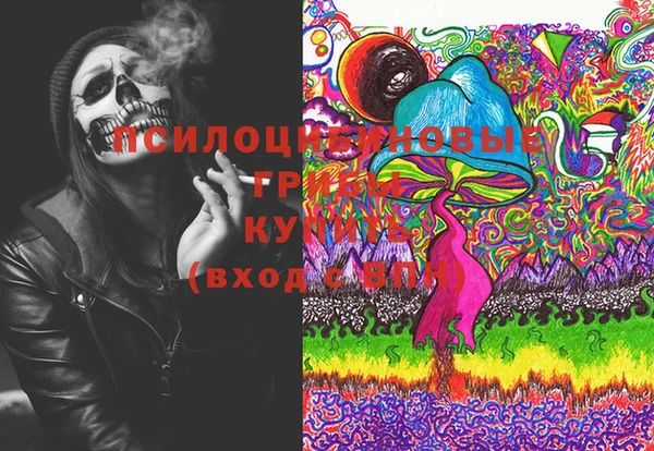 соль ск Вязьма