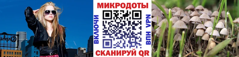 Псилоцибиновые грибы Cubensis OMG как зайти Кинешма