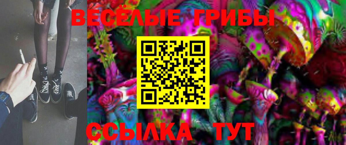 Кинешма  Галлюциногенные грибы Psilocybine cubensis  Галлюциногенные грибы GOLDEN TEACHER  Вход с VPN 