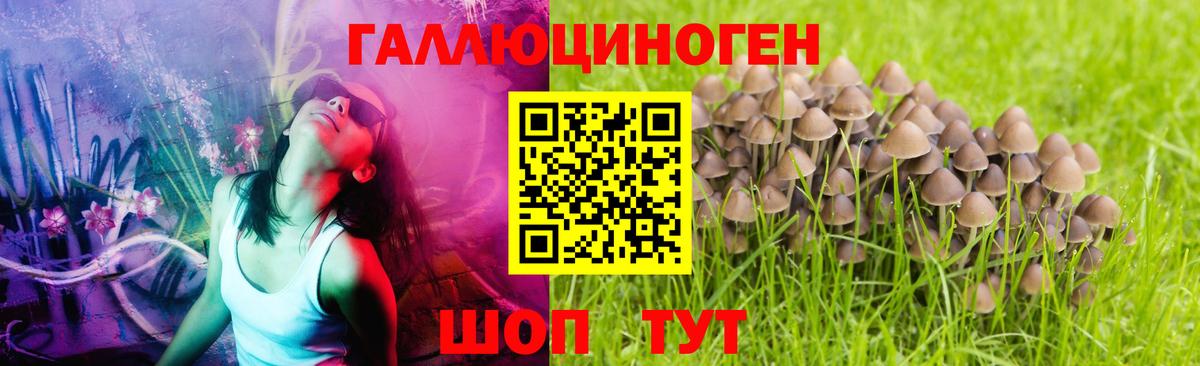 Бошки Шишки  Гашик  МЕФ  Cocaine  Кинешма  Alpha-PVP  Вход с VPN  ГАШИШ 