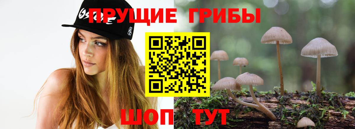 Псилоцибиновые грибы мухоморы Кинешма