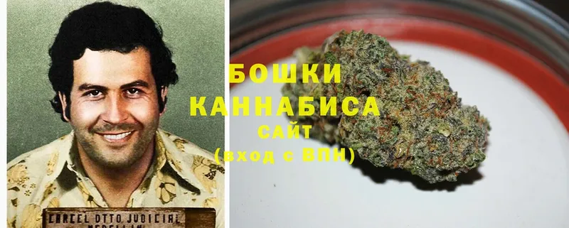 Канабис OG Kush  блэк спрут зеркало  Кинешма 