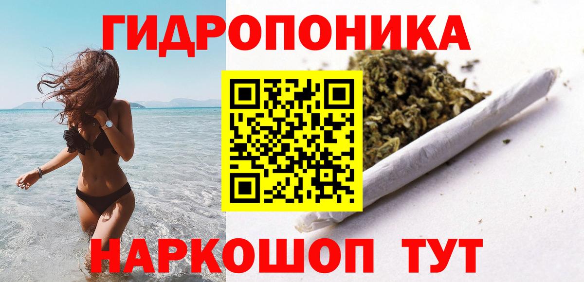 Шишки марихуана Bruce Banner  Вход с VPN  Кинешма  Канабис марихуана 