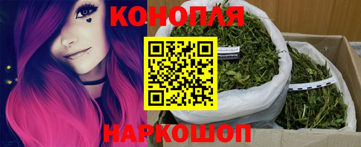 Канабис ГИДРОПОН Кинешма